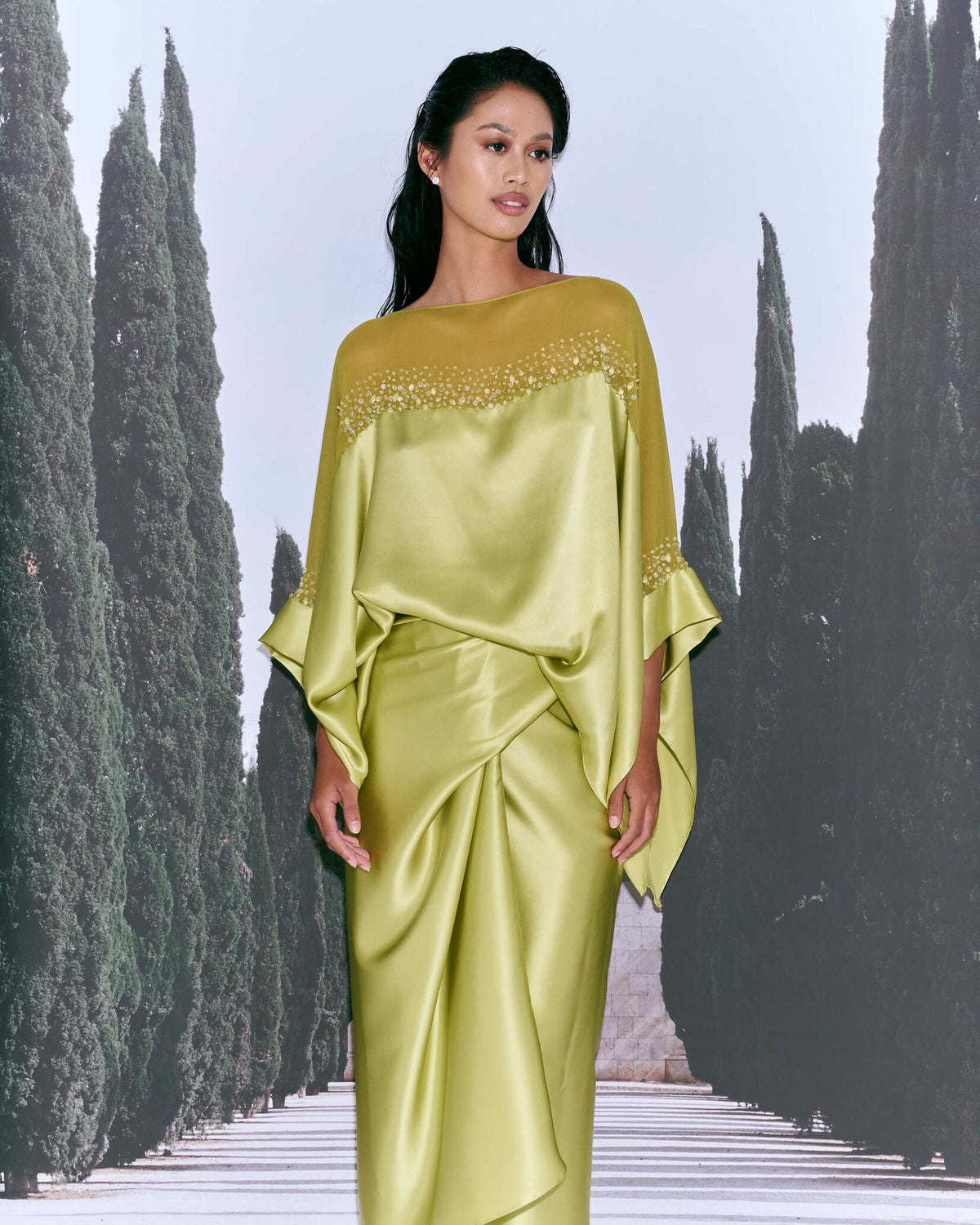 OLIVE NO.02